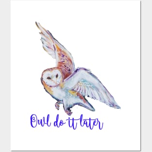 Barn owl in flight Posters and Art